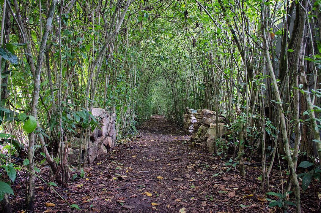 ZONA ARQUEOLÓGICA DE BONAMPAK ZONA ARQUEOLÓGICA DE BONAMPAK